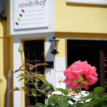 호텔 Roemerhof