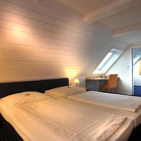 Roemerhof Hotel 3*